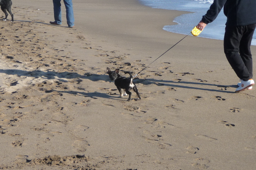 ...kann der Strand viel Spa machen.