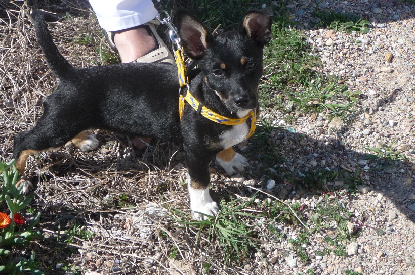 Hier war Bella wirklich noch ganz klein.