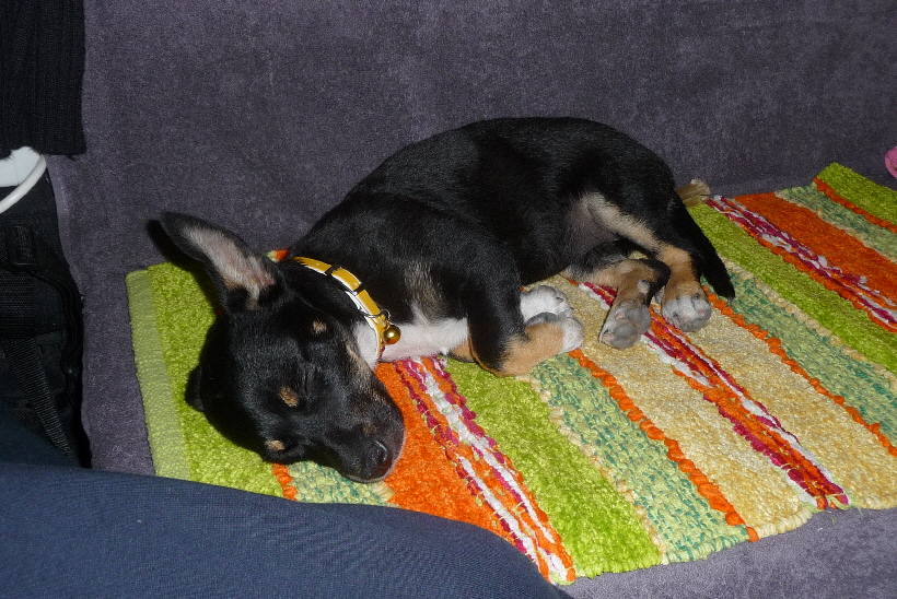 Nachdem sie gespielt hat, ist sie sehr mde...