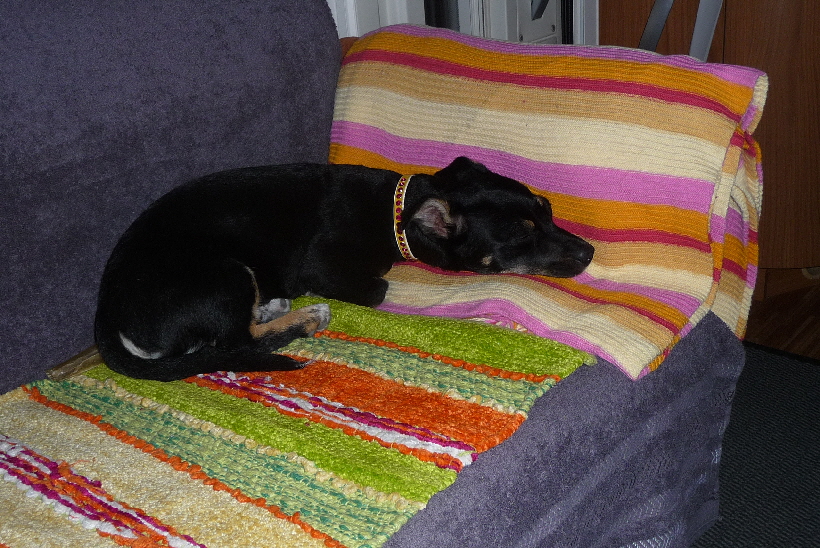 ... und muss sich ausschlafen.