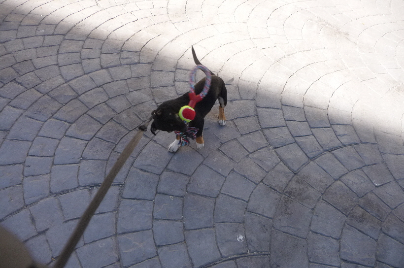 ...das natrlich ausfhrlich getestet  werden muss.