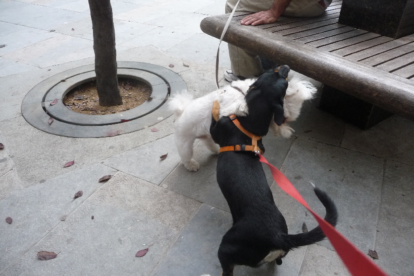 ...lann das Leben so schn sein.