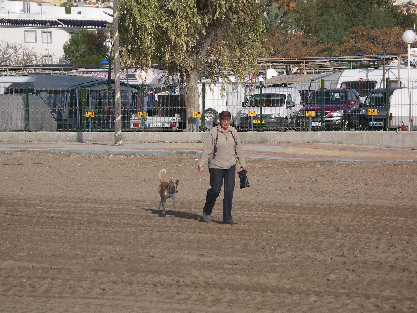 Carlos mochte Britta aus Lübeck besonders gerne, denn sie gab ihm Futter und war sehr lieb zu ihm.