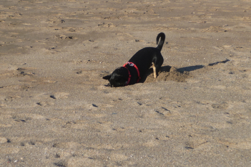 ...versteckt darin einen Stein.