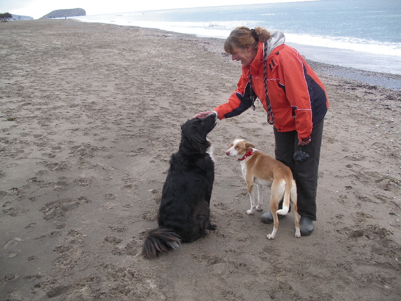 Podenco Carlos mit Ronja und Britta aus Lübeck.