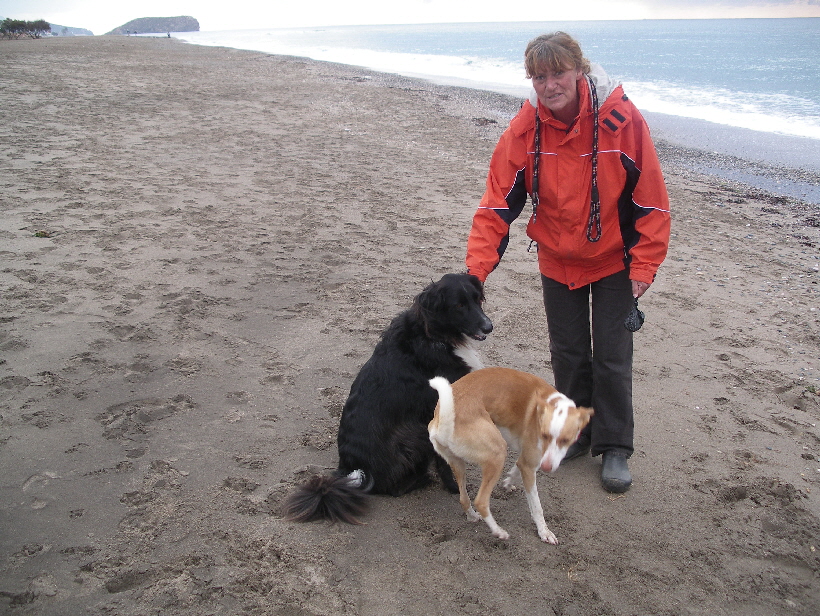 Foto: Udo aus Lübeck: Podenco Carlos mochte fast jeden Menschen und Hund.