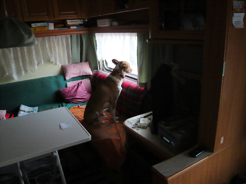 Carlos lebt nun bei Rita.