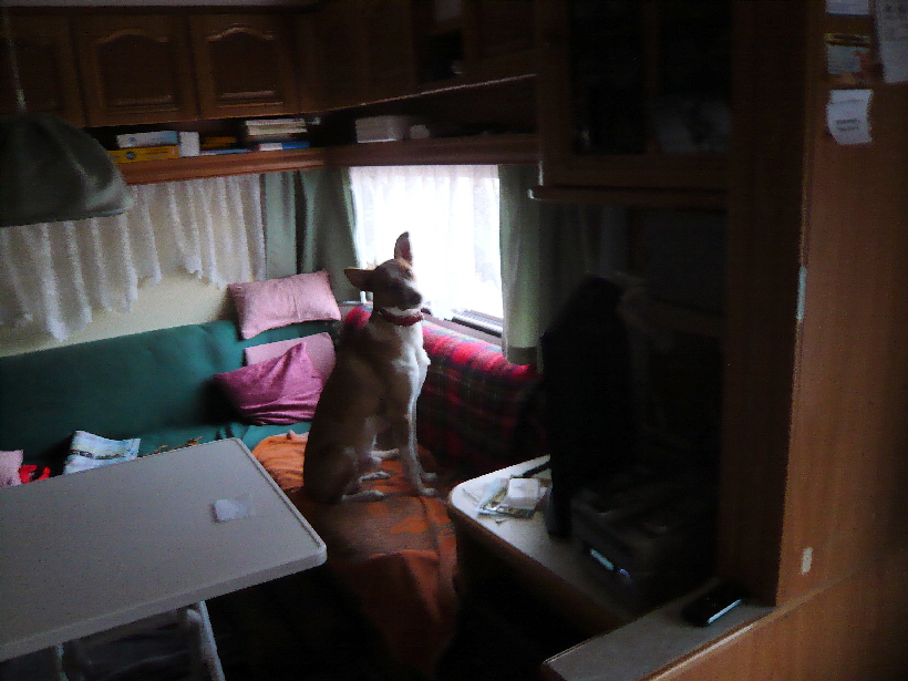 Carlos scheint es bei Rita gut zu gehen, darf aber meine Stimme nicht hören.