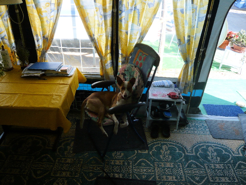 Rita kümmert sich rührend um Carlos.