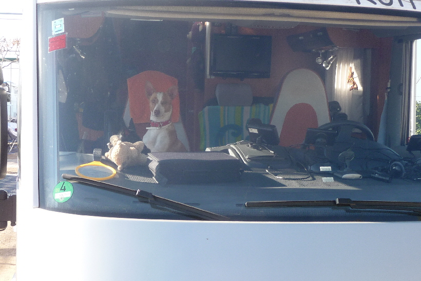 Carlos und Bella wieder zusammen, sie warten darauf dass wir losfahren, um den Campingplatz verlassen.