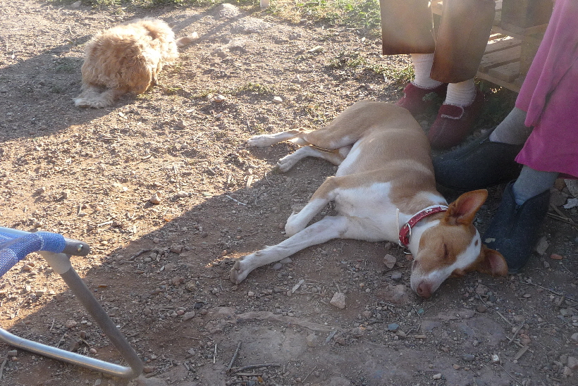 Carlos fühlt sich wohl, oder kann man das anders interpretieren?