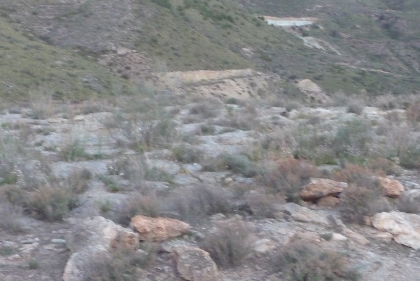 Hier ging Christian gerade mit seinem Rudel und Carlos den Hang hinunter, ich war mit der Kamera zu langsam, mir zereist es das Herz.