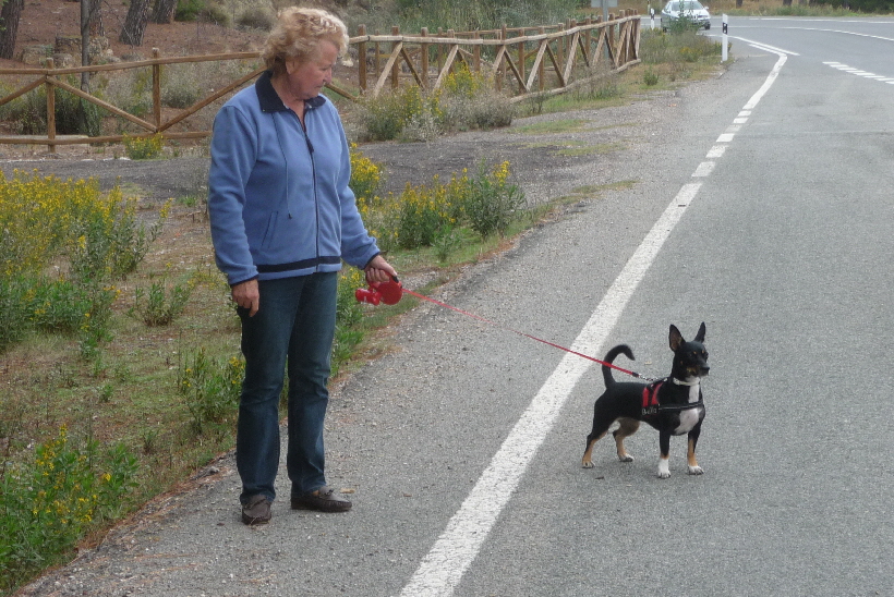 Oktober 2012: Auf dem Weg zur berwinterung...