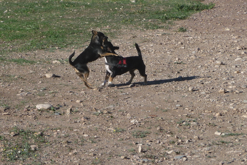 Bella mit einer kleinen Freundin aus Isla Plana...