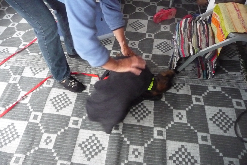 Paul lässt sich das Abreiben, ab dem ersten Tag von Rosemarie gefallen.