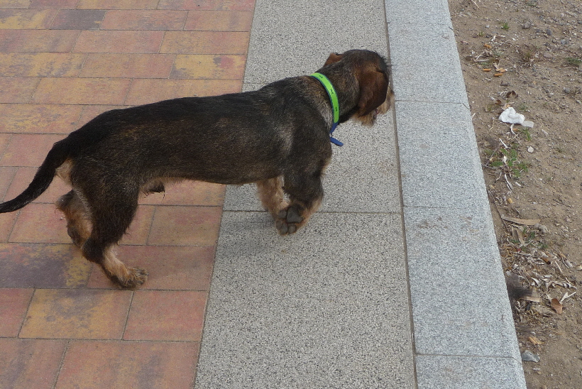 Paul auf dem neuen Paseo.