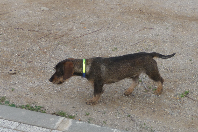 Hier sieht Paul noch noch nicht wie ein Kraftpaket aus.