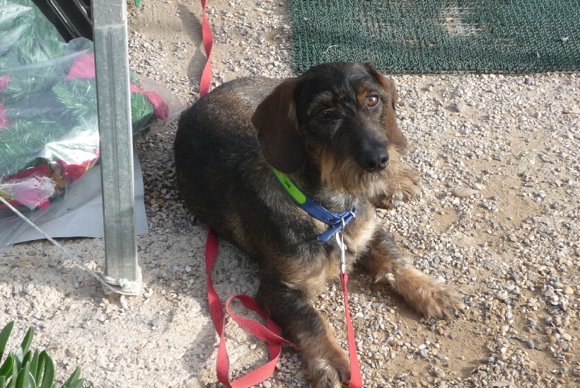 Paul auf unserer Parzelle.