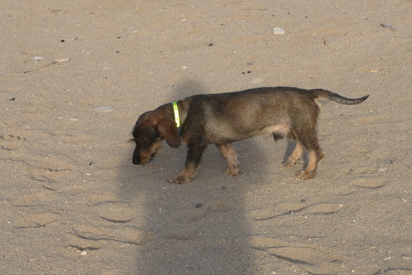 Noch immer strahlt Paul kein Selbstbewustsein aus.