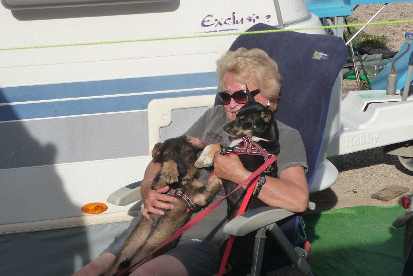 Sogar auf Frauchens Scho...