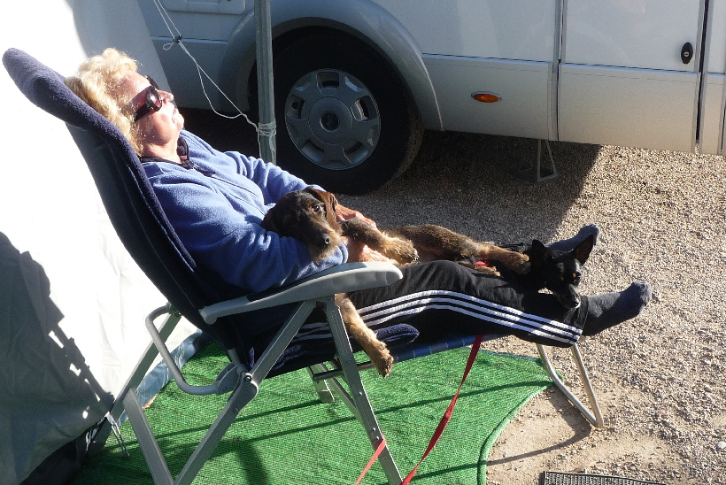 Das würde Beiden stundenlang gefallen..