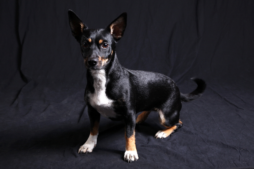 i>Eines der wenigen gelungenen Fotos.