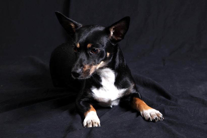 ...Sie machte es dem Fotografen nicht leicht.