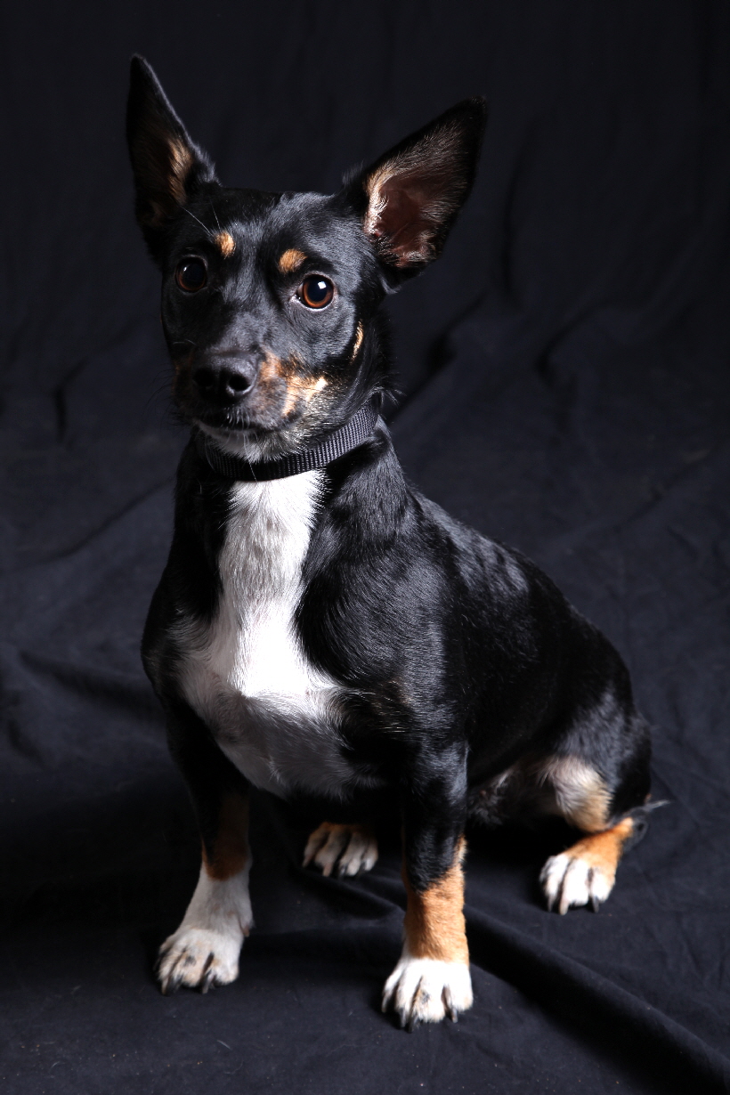 April 2012, Bella beim Fotoshooting..