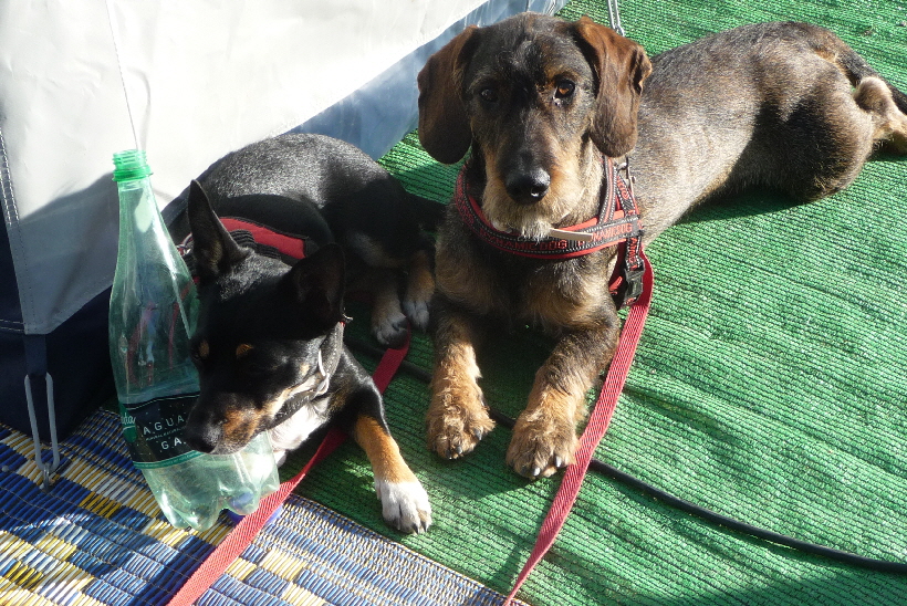 ...kann man mit diesem Paul, ich glaub das ist mein  neuer Freund.