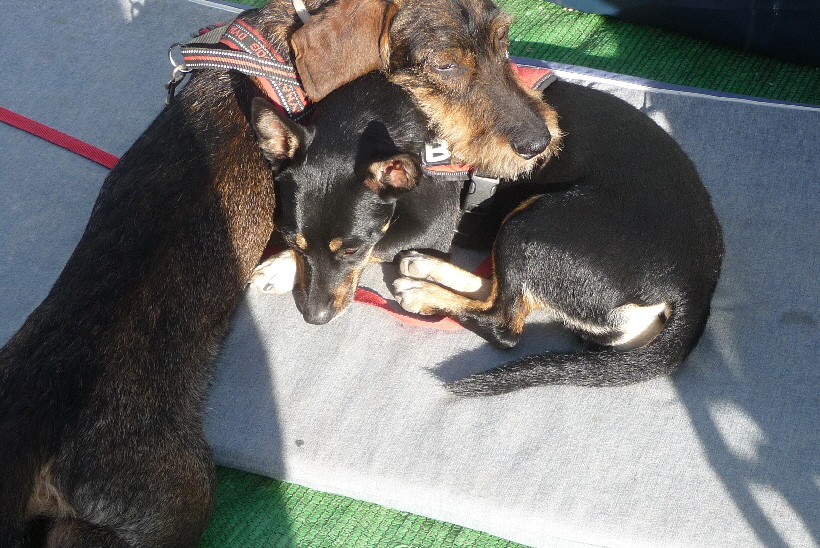 ******* Sind die Beiden nicht süß?.