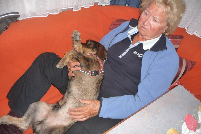 Paul liebt sein Frauchen Rosemarie.