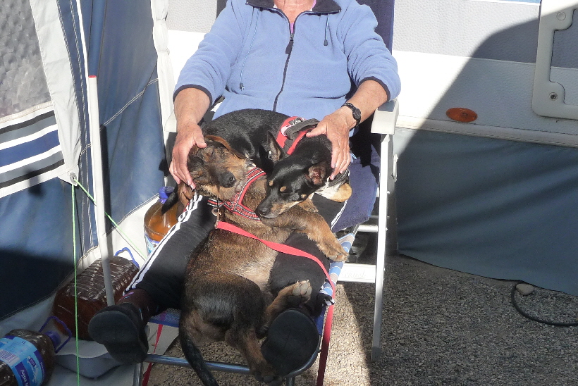 Auf Frauchens Scho ist...