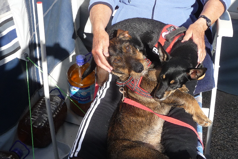 ...aber alles noch viel schner.