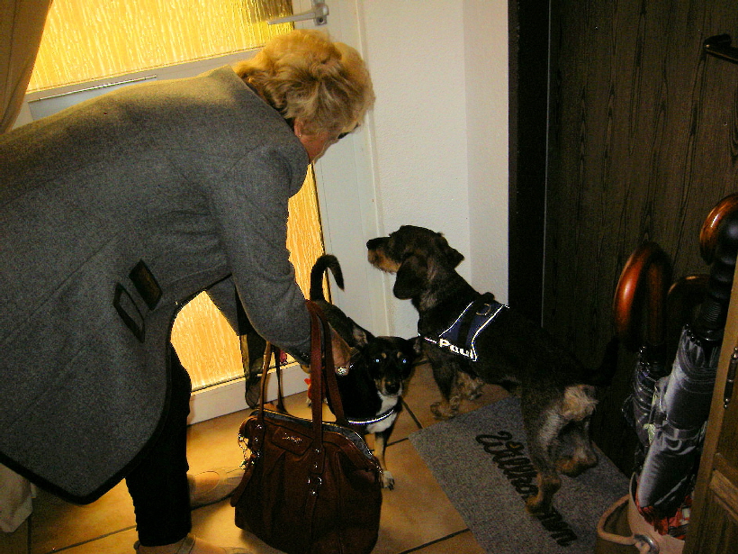 In ein paar Stunden ist Paul nicht mehr bei uns. Ich bin schon jetzt sehr traurig, aber wir können Paul leider nicht gerecht werden.