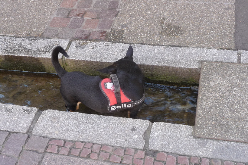 Im Sommer 2013, waren wir in Freiburg...