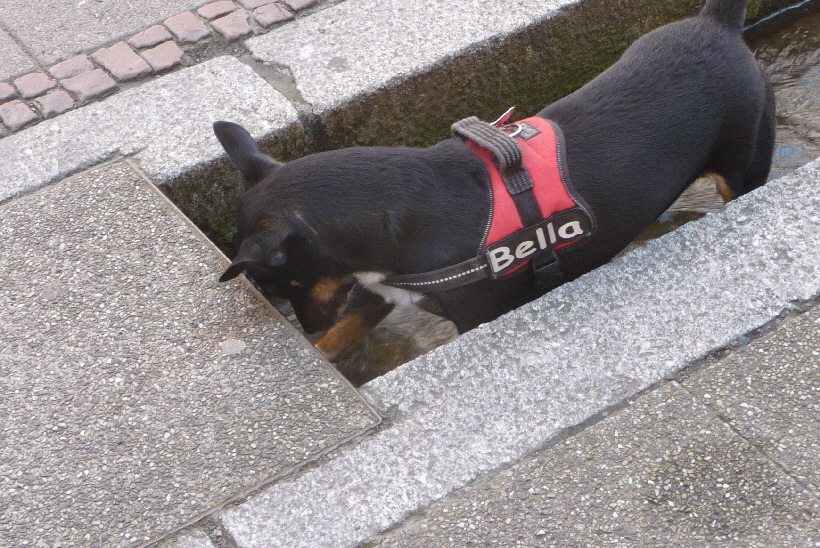 ...in dem kalten Wasser, kann man sich toll abkhlen...