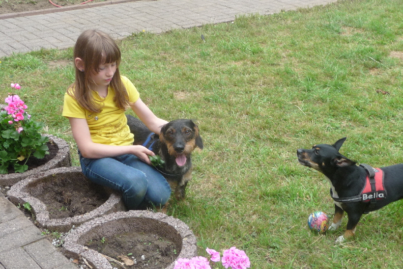 Paul mit der Tochter der Familie und Bella. Ich sehe das mit einem weinenden und einem lachendem Auge.