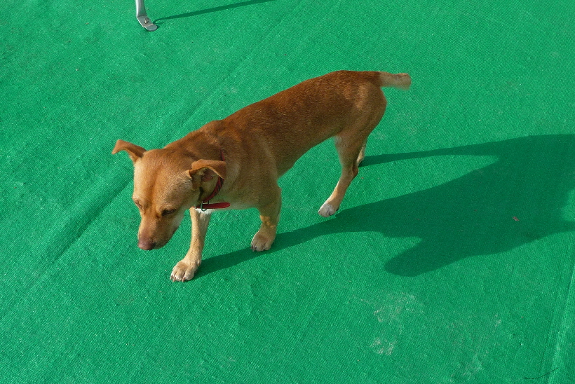 Sollte das hier, nun meine neue Heimat werden?...