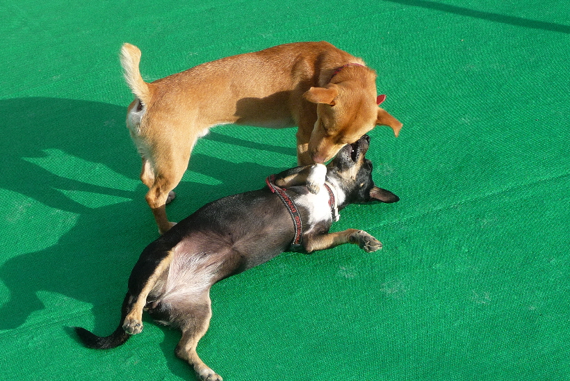 ...eigentlich gar nicht so schlecht...