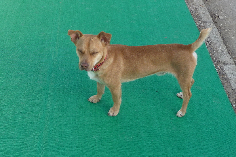 ...so richtig kann ich das aber noch nicht glauben...