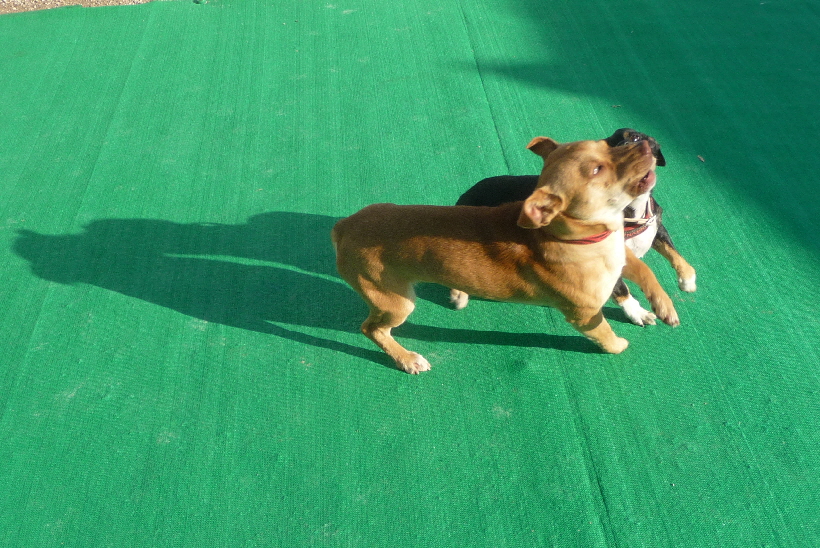 ...aber wenn es hier nicht klappt, dann laufe ich einfach wieder zu meinem alten Platz zurück.