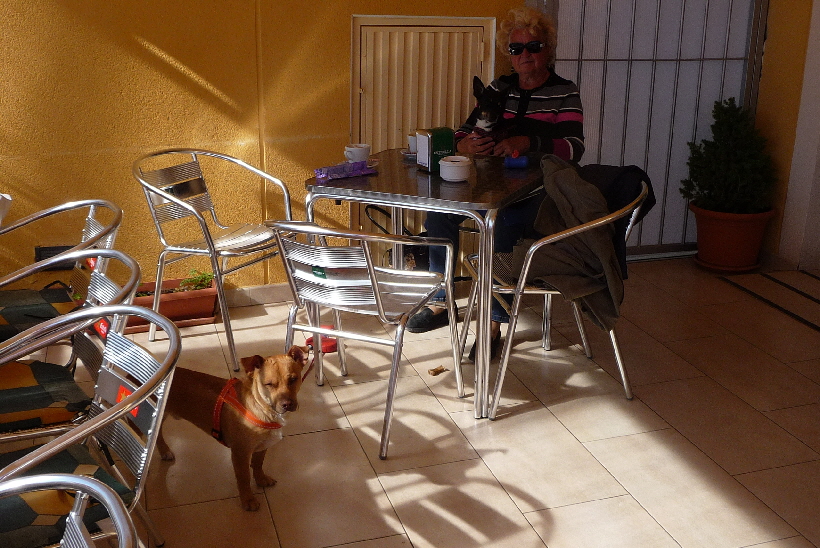 ...hier bekommen wir von dem Essen unserer Menschen, immer etwas ab.