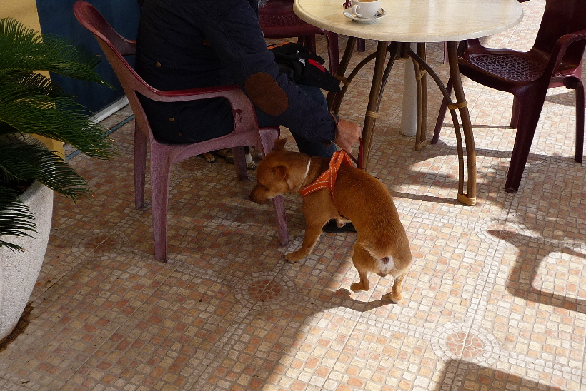 ...aber manchmal wird mir hier auch sehr langweilig.
