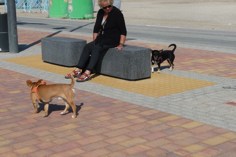 Hier sind wir auf dem Weg zum Oasis De Las Palmeras...