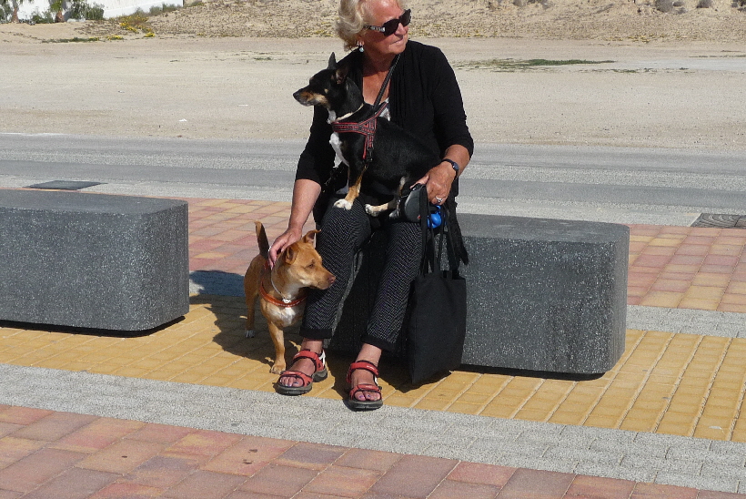 Frauchen muss eine Pause machen, wir Hunde machen gerne dabei mit.