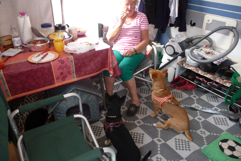 Frauchen hat Hähnchen gemacht, lecker lecker.