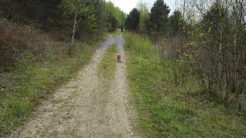 Oder ich lauf mal schnell den Weg entlang, von Frauchen zum Herrchen.