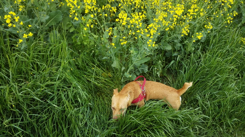 ...Ist das nicht herrlich hier?