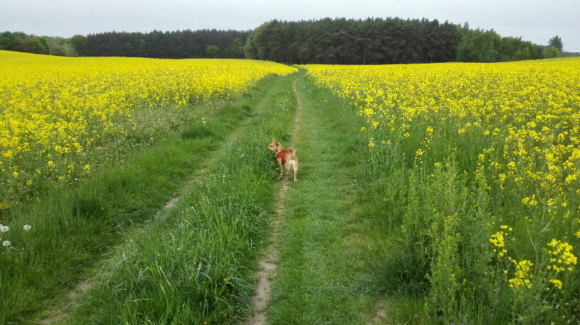 Heute scheint aber leider keiner mehr zu kommen...