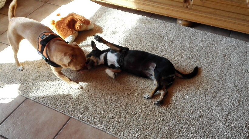 Zuhause ist es auch sehr schön.